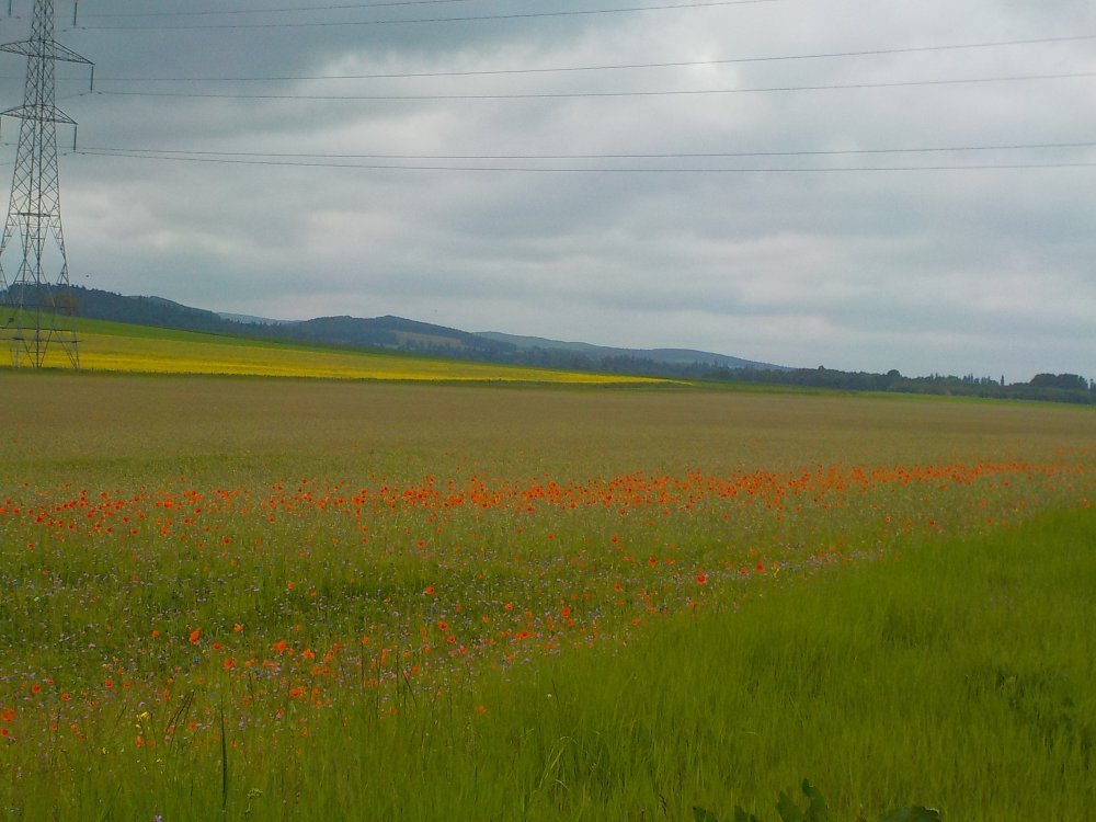 DSCN6144.JPG