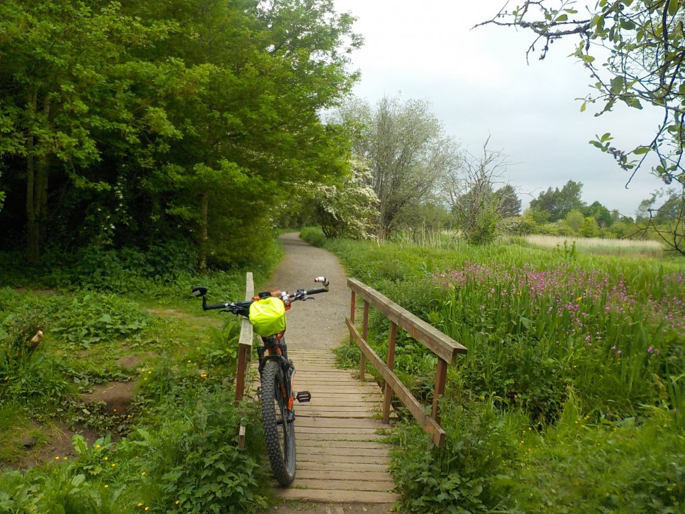 DSCN6165.JPG