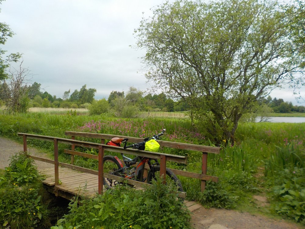 DSCN6168.JPG