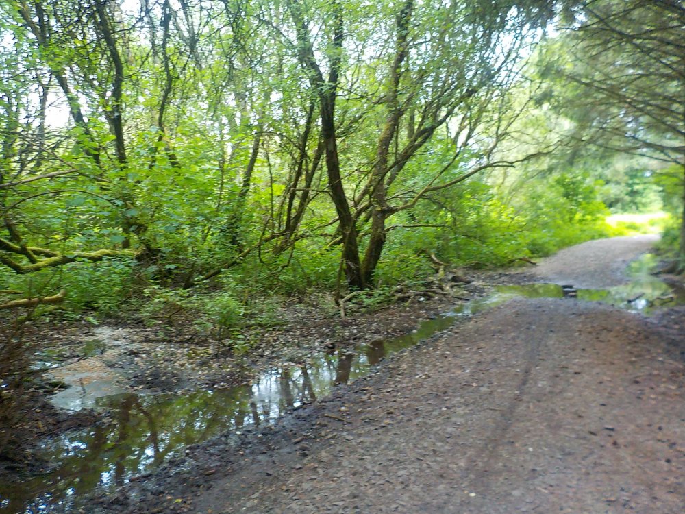 DSCN6176.JPG