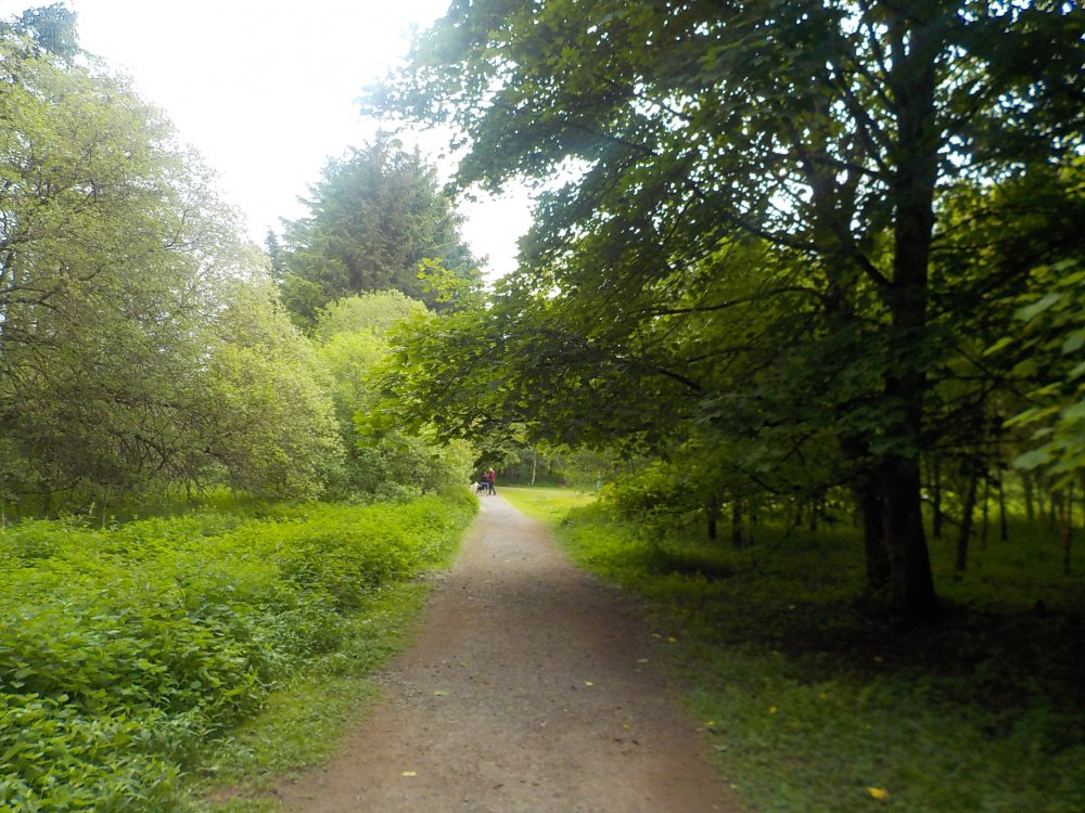 DSCN6177.JPG