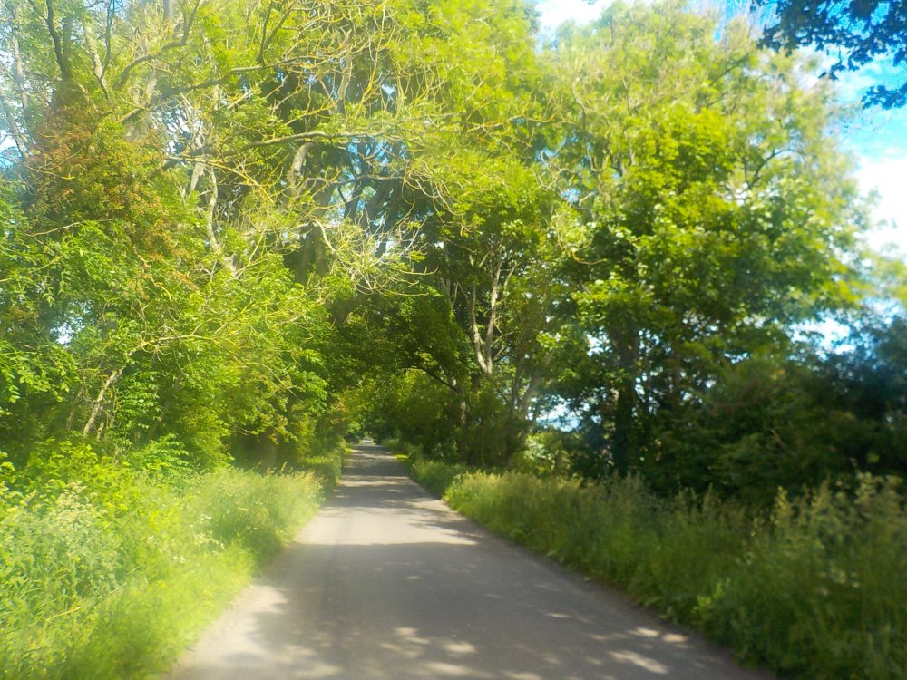 DSCN6226.JPG