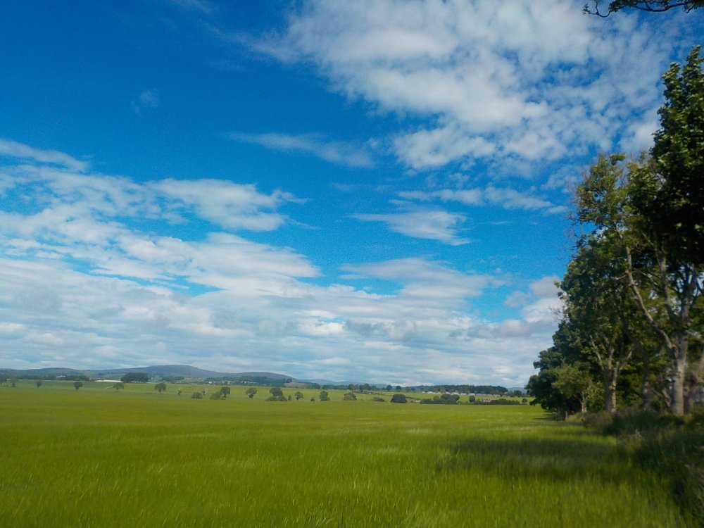 DSCN6237.JPG