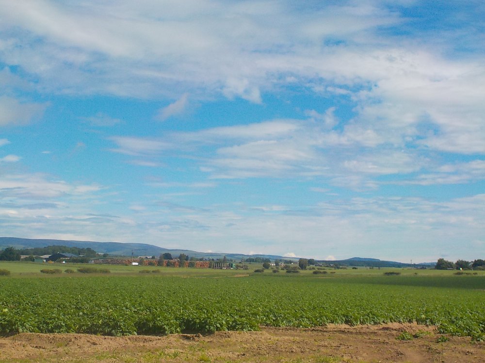 DSCN6238.JPG