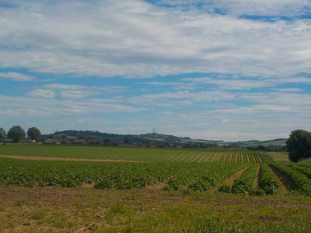 DSCN6240.JPG