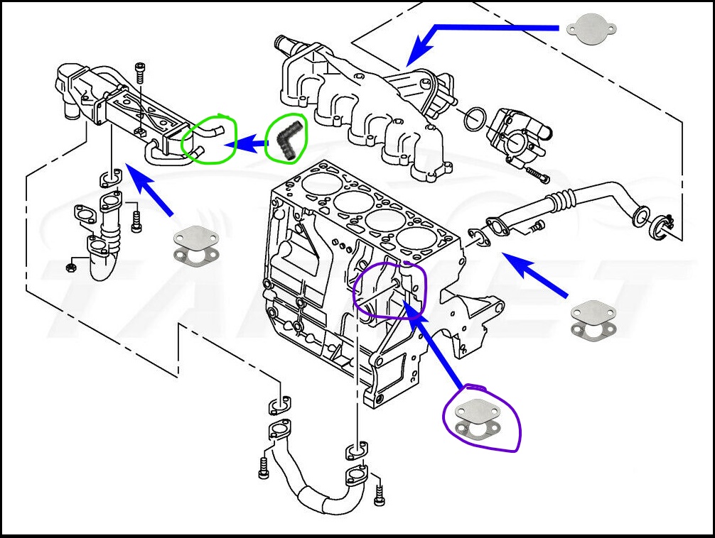 Fitting 1.6 CR TDI EGR Delete/Blanking Skoda Fabia Mk II (20072014