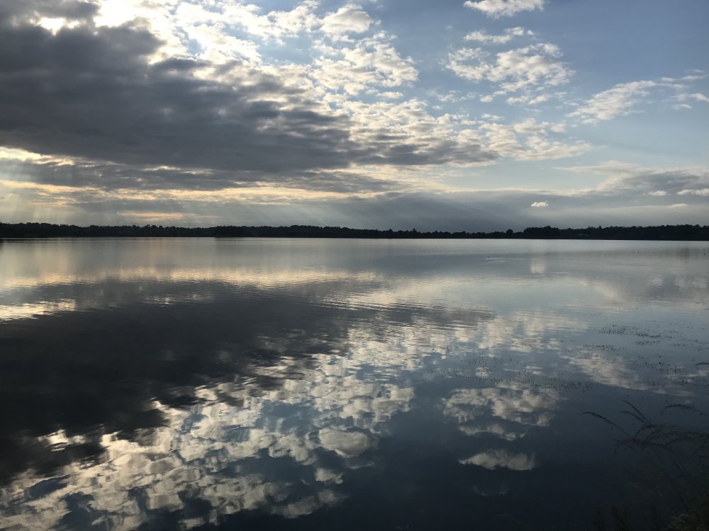 1E227630-2AF4-4F71-BDC1-8C5DCE19C692.jpeg
