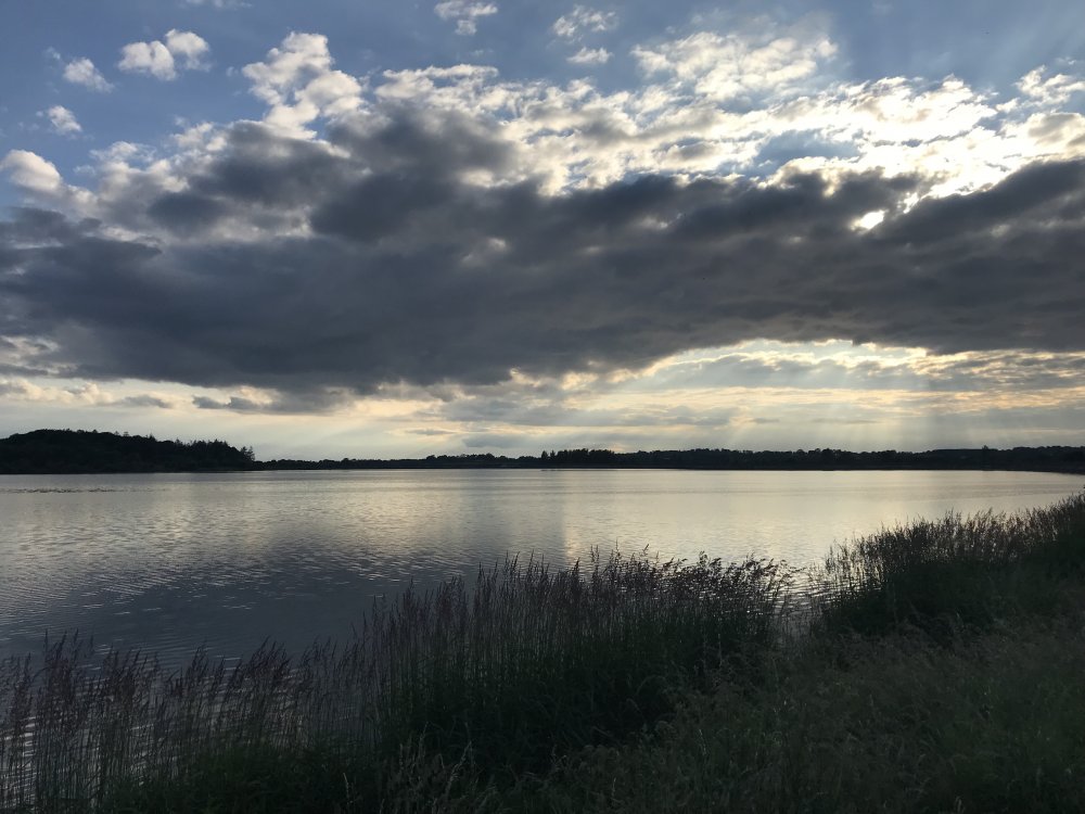 4C9BEA9E-1301-4FCD-862A-E702A8714FA1.jpeg
