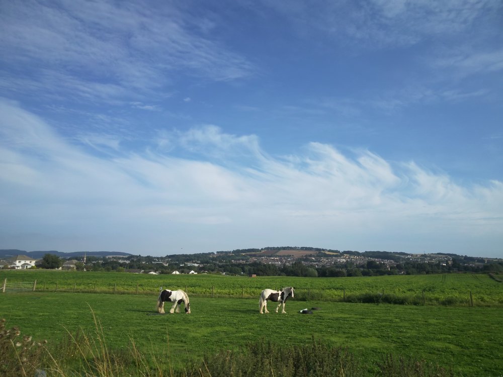 DSCN0113.JPG