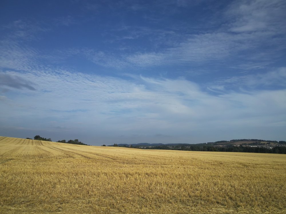 DSCN0123.JPG