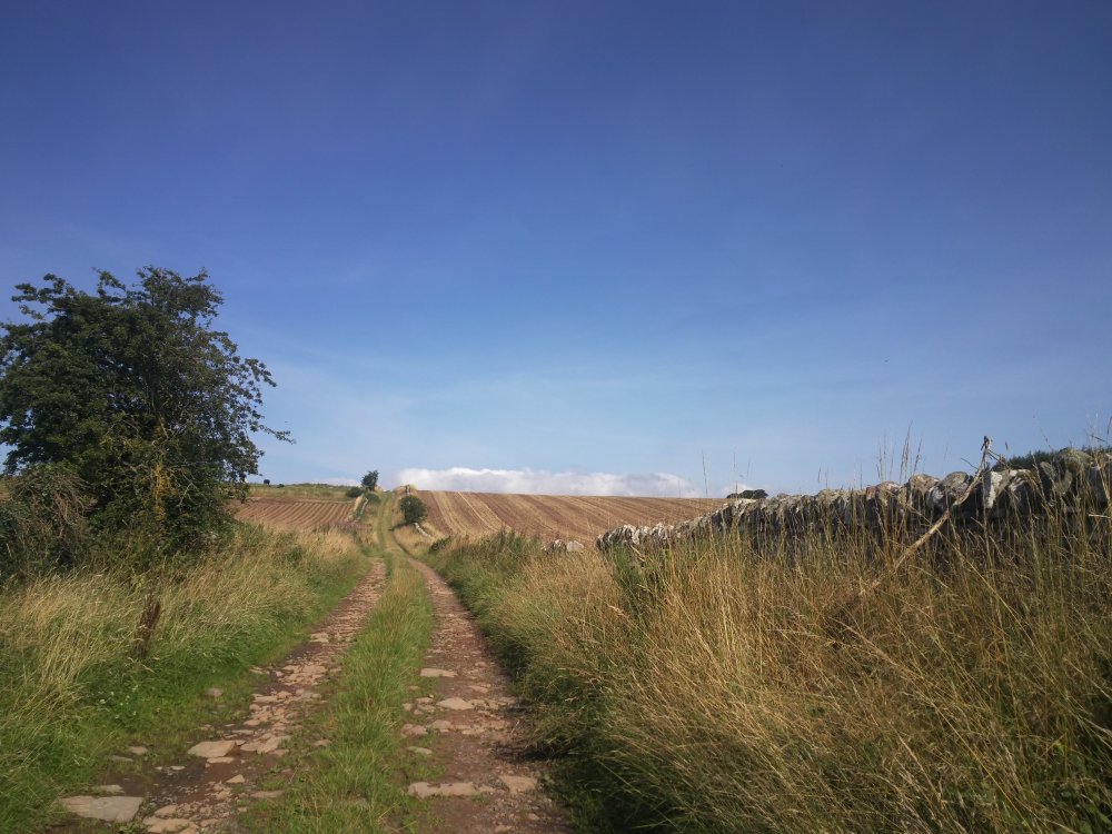 DSCN0137.JPG