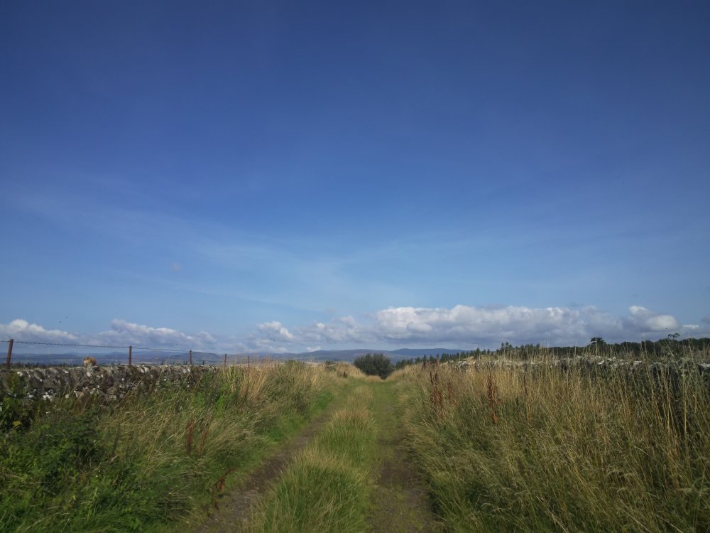 DSCN0144.JPG