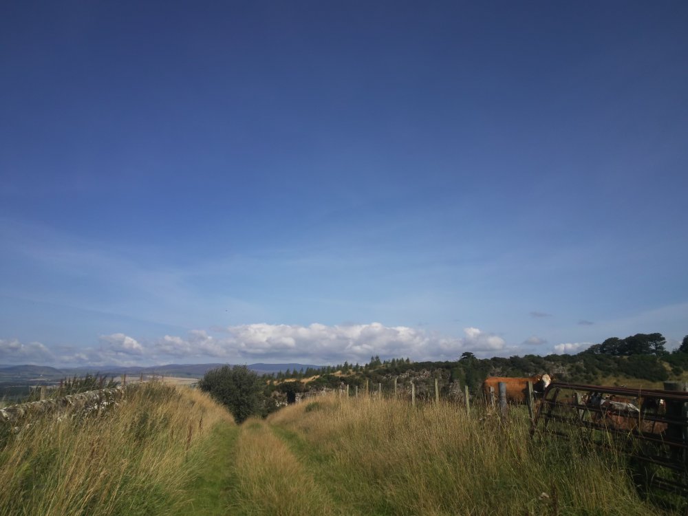 DSCN0150.JPG