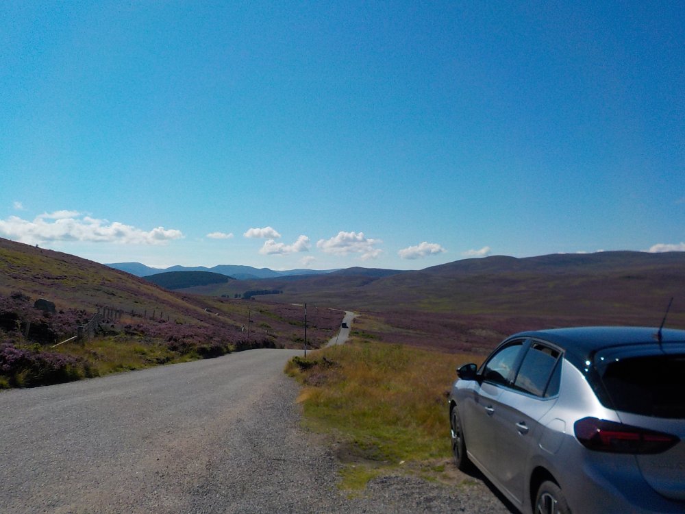 DSCN5387.JPG