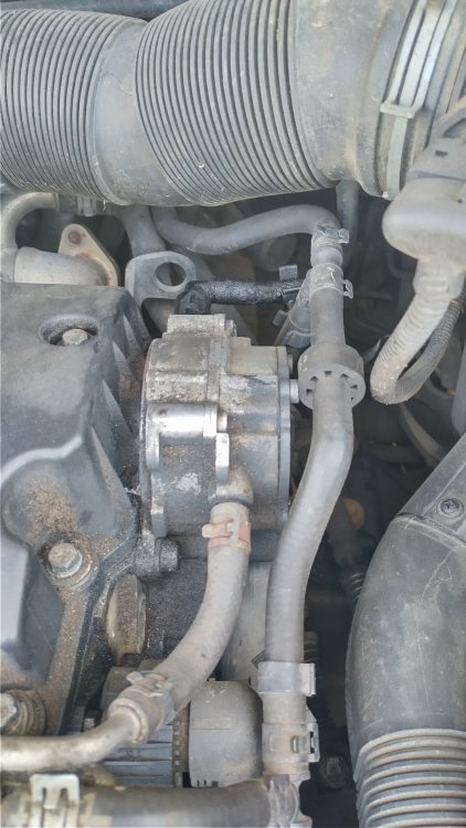 IMG_20210812_163242_HDR.jpg