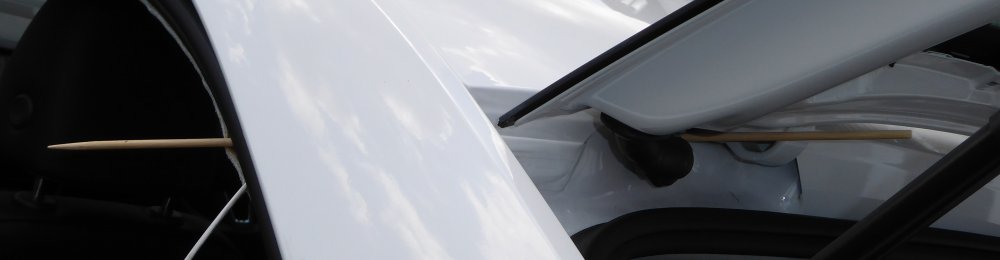 P1010011_crop.thumb.jpg.0cf75d1cc3ad39788f93044733fde58d.jpg