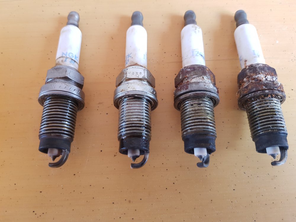 Plugs.thumb.jpg.9e99034852c70824e20ae872c00ba585.jpg