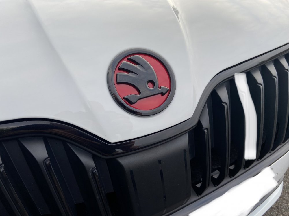 Skoda4.jpg