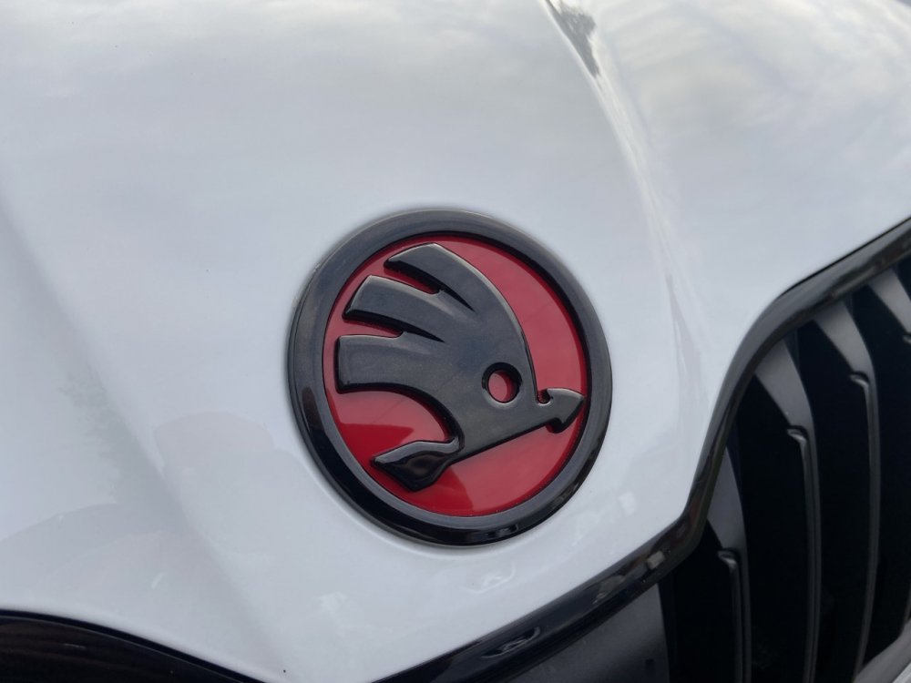 Skoda5.jpg