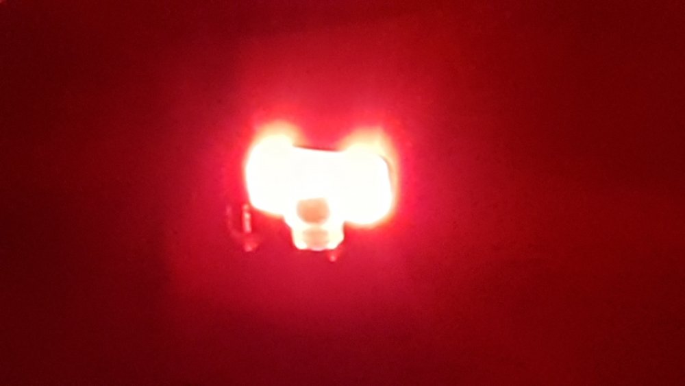 20211007_022743.thumb.jpg.8f06a4a5e4d52f6ee5dfce044c8f920c.jpg