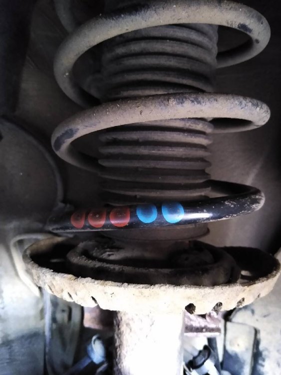 510816612_FrontCoil.thumb.jpg.17c8a5fbe36f694c1519c04f3bec9dcc.jpg