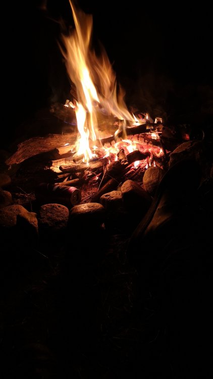 IMG-20210828-WA0003.thumb.jpeg.70495361876b6c5672da9f8aa9d3d6f5.jpeg
