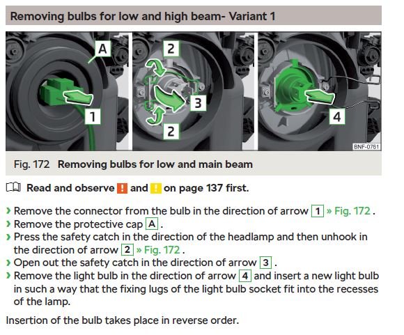 bulb1.JPG.48a3d3477c480b461b724b15246aff2a.JPG