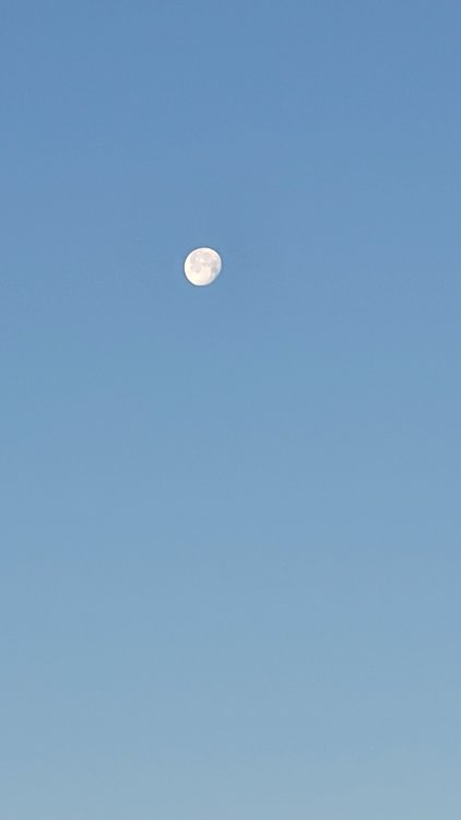 20211122_083113.thumb.jpg.145360179a6ea55e950fb6bd9ef550e2.jpg
