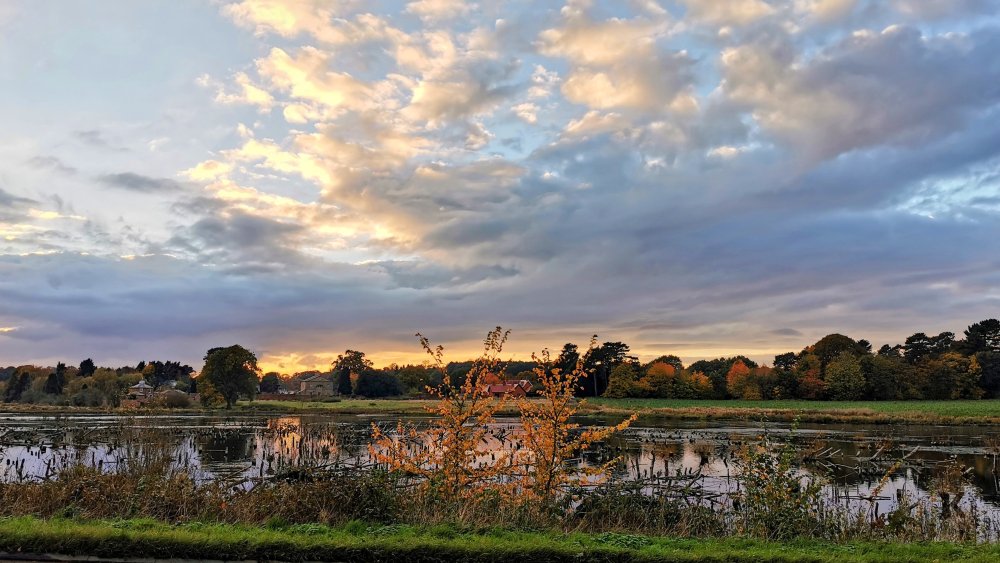 573783161_IMG_20211114_152922_edit_1562219824501202.thumb.jpg.4c9e1a79131fe90050b7a44ca9fb7af6.jpg
