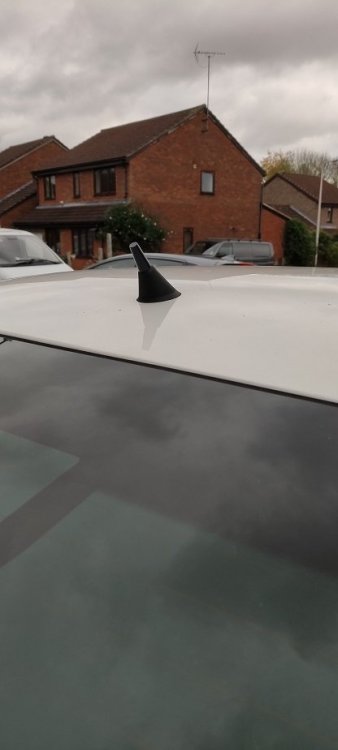 875371867_SkodaRapidStubbyAerialBack.thumb.jpg.41521e5be78619ce713607f7806557dc.jpg