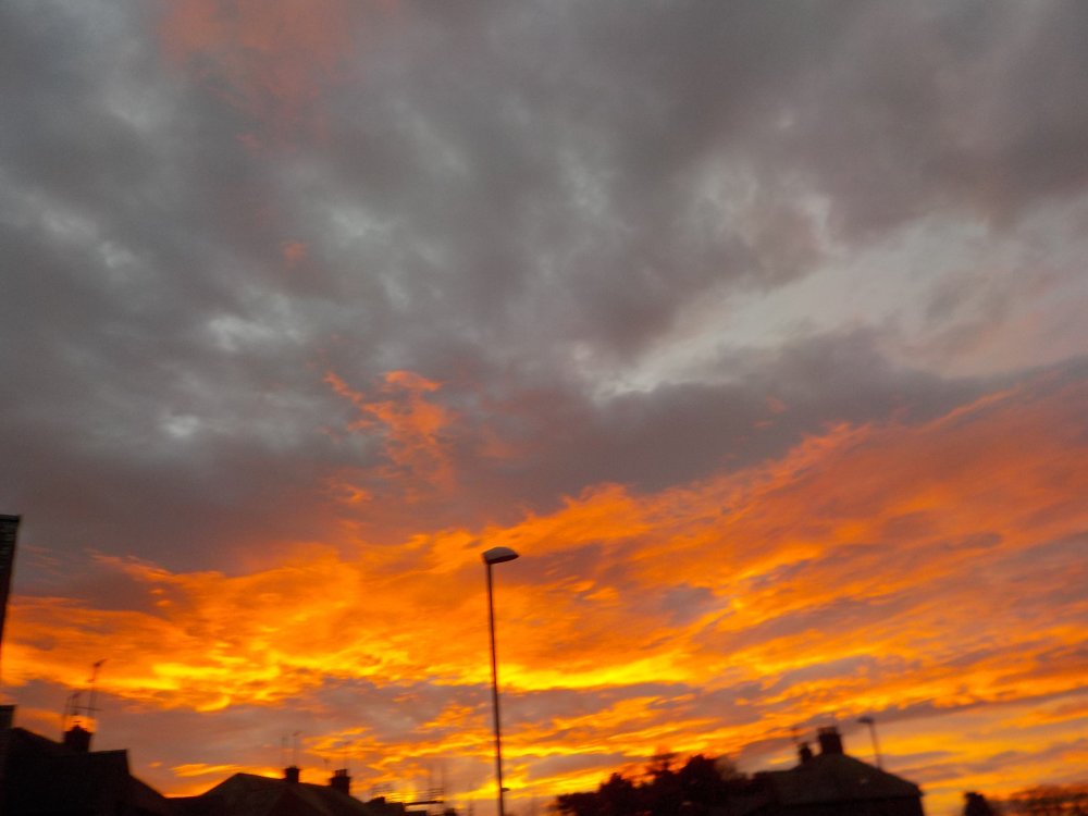DSCN0145.JPG