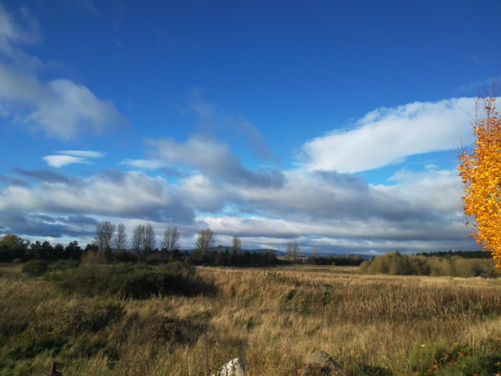 DSCN0315.JPG