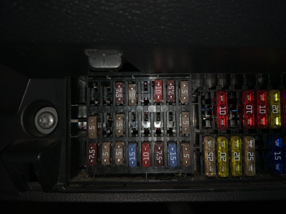 IMG_20190903_140257.thumb.jpg.e9079df9ff58412f3867b5bfd1f310a3.jpg