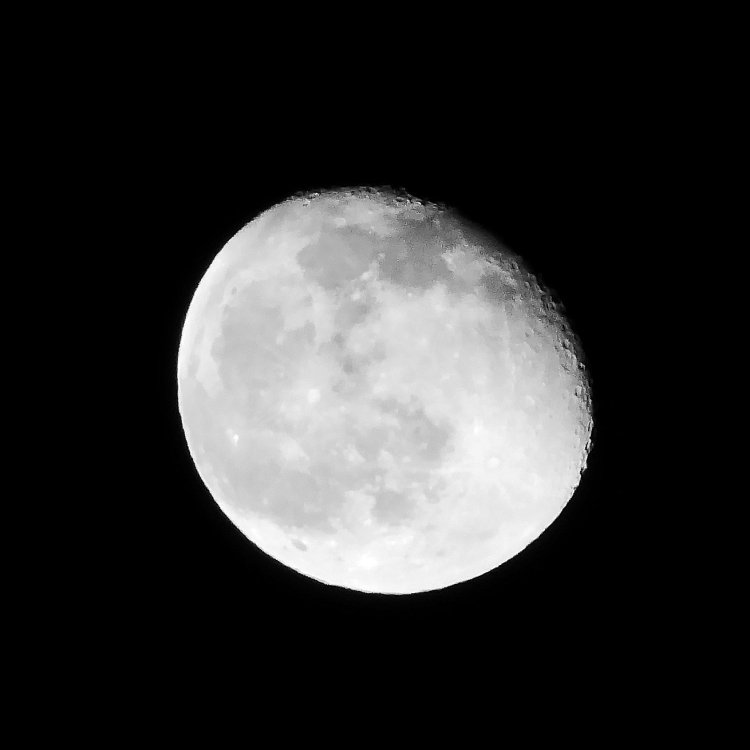 1010893_edit_117687762524229.thumb.jpg.ff3add4ba2db4bfe23f4741e2ae7a384.jpg