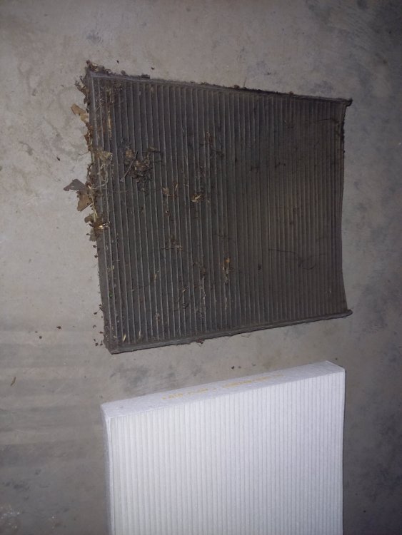20211229_153321.thumb.jpg.e87a778daf7607a7abe176c592e1e94d.jpg