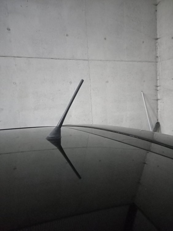 20220124_174150.thumb.jpg.f9f2b255ad63f83ce392bff9854f4946.jpg