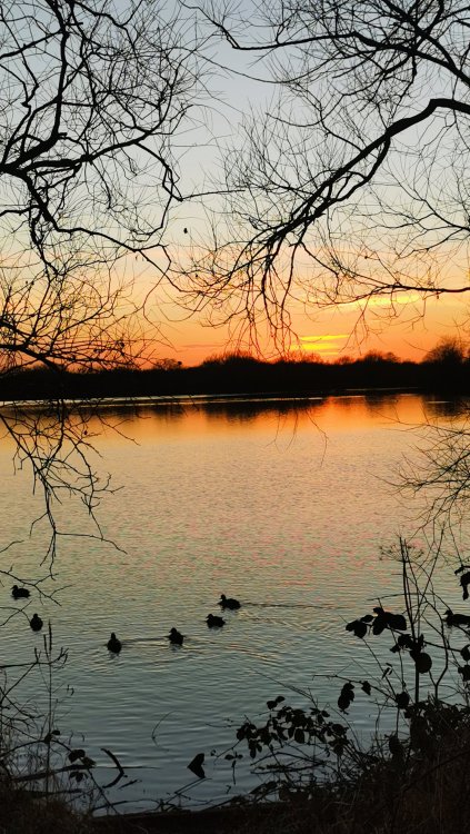 IMG_20220120_162655_edit_111711246014203.thumb.jpg.63bbdc2519951de7155dc2766d0133e9.jpg