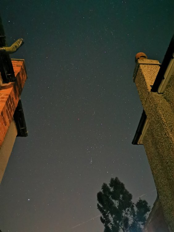 IMG_20220127_214731.jpg