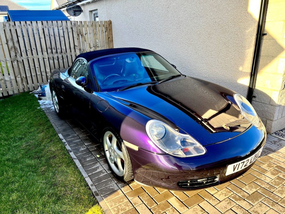 IMG_6755.thumb.jpeg.b1215a43b5c81069668475dad8f7803d.jpeg