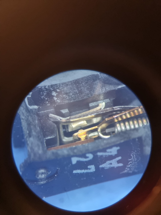image.thumb.png.f5abd3c1ad60654ed16e88fcf978b9f2.png