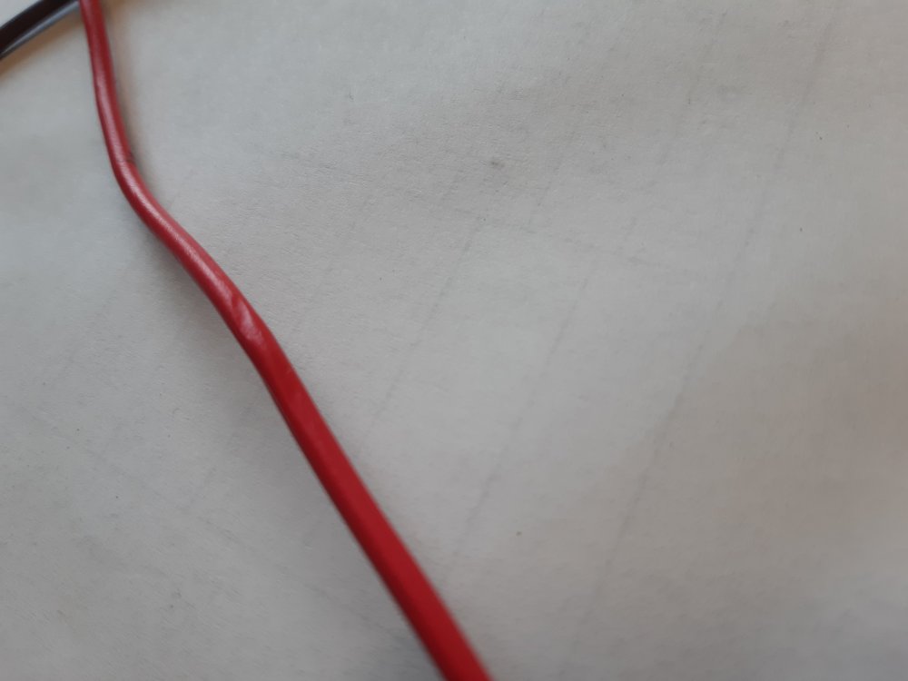 20220211_134231.jpg