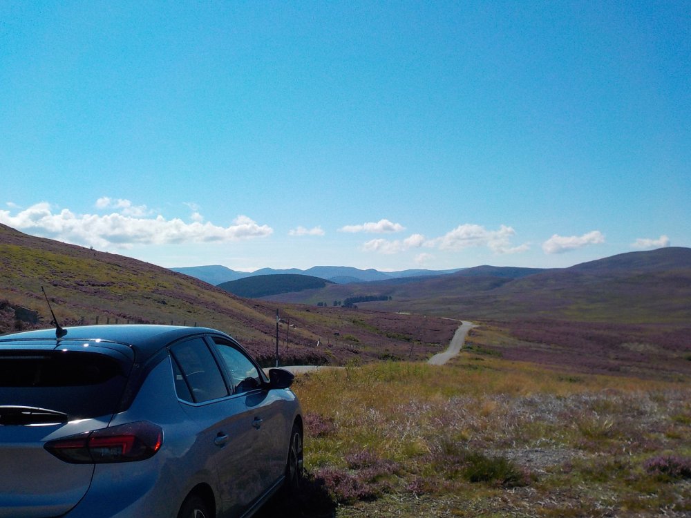 DSCN5397.JPG