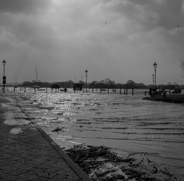 DSC_1610.thumb.jpg.c935b5cc62f06ee000a7dadb756f1f1a.jpg