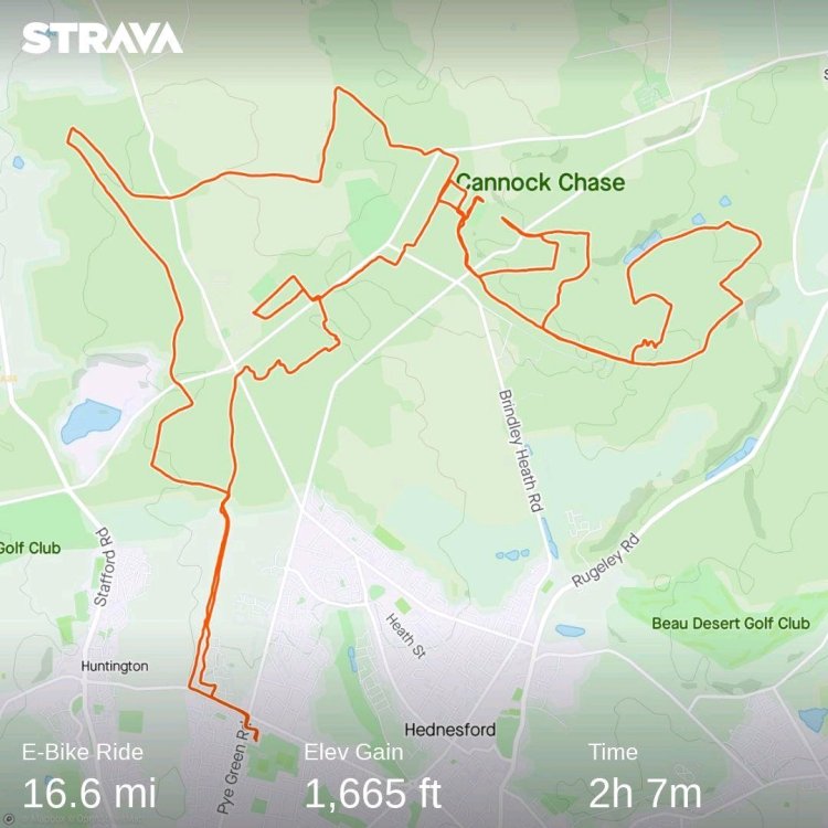 strava5298468484536594658.jpg