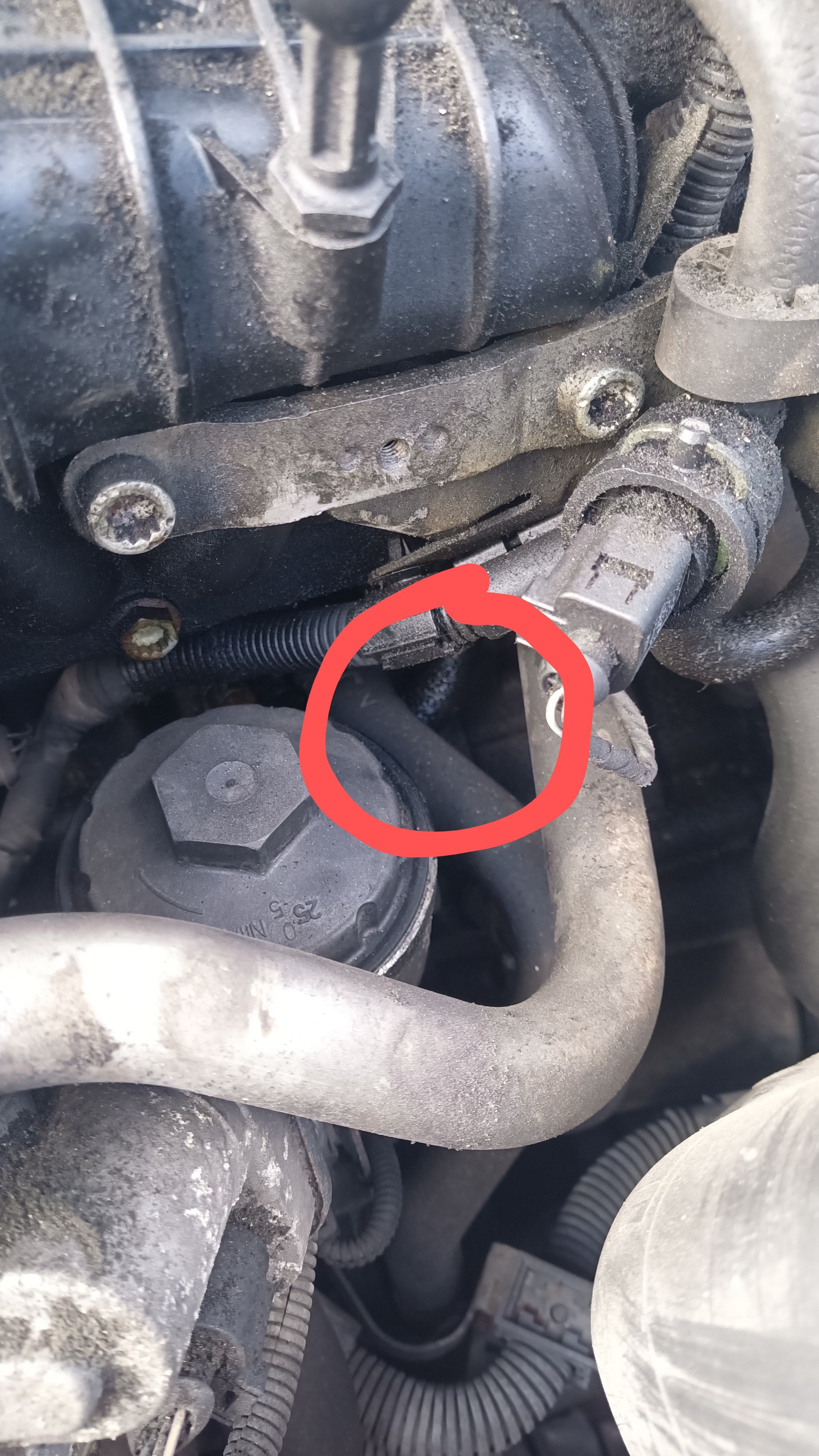 Fuel Leak? Tandem Pump or Fuel Lines (perhaps)? Skoda Octavia Mk II