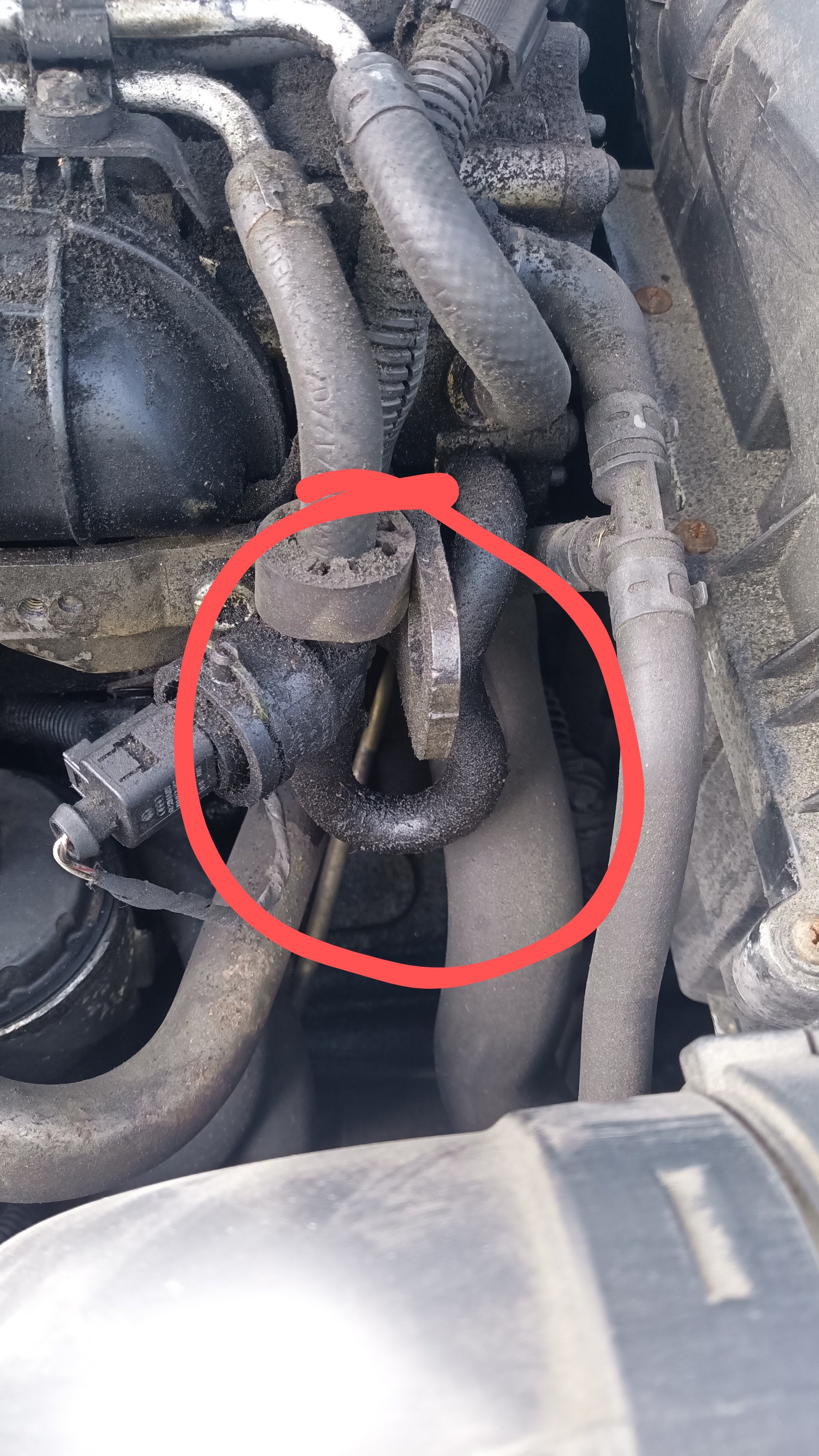 Fuel Leak? Tandem Pump or Fuel Lines (perhaps)? Skoda Octavia Mk II