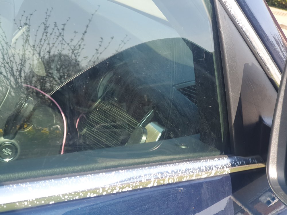 20220325_121916.jpg