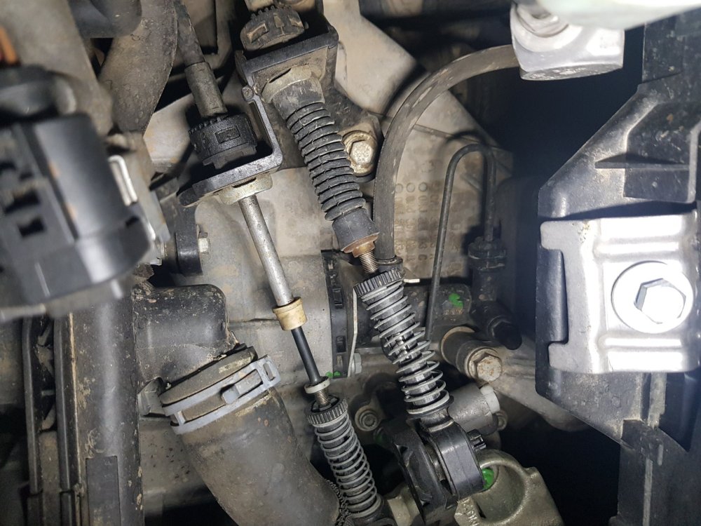 Clutch Oddity Skoda Yeti BRISKODA