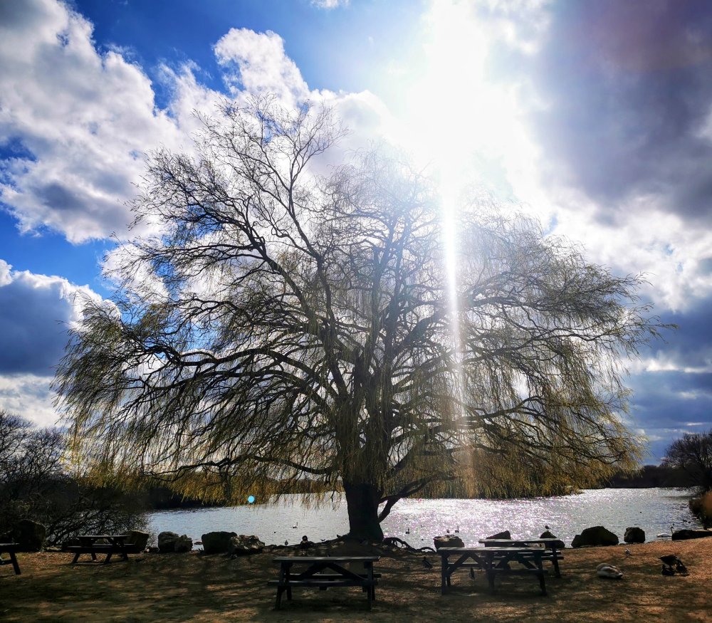 368678716_IMG_20220310_130548_edit_23396875050622602.thumb.jpg.9d767e6327317507e0658f94871befdc.jpg