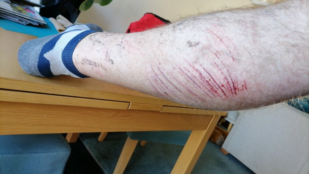 IMG-20220314-WA0003.thumb.jpeg.fc97dd073c7393634b01480e8bfc7ae0.jpeg